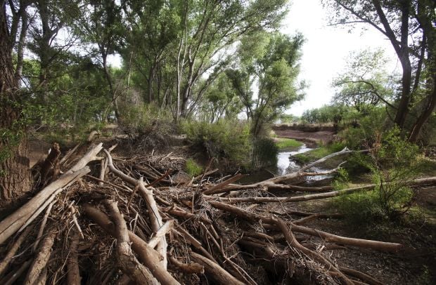 San Pedro River