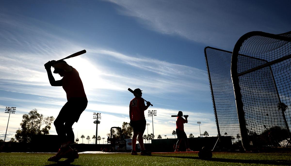 University of Arizona baseball