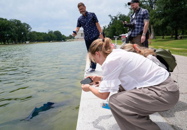 Reporters and photographers record a small section of the Lincoln Memorial Reflecting Pool newly installed liner measuring about