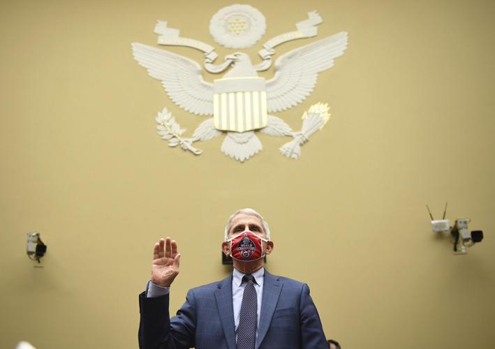 Fauci Interview