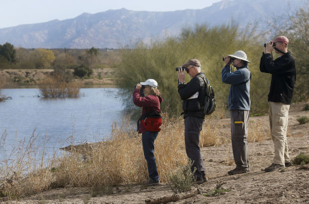 Coachline Road birding