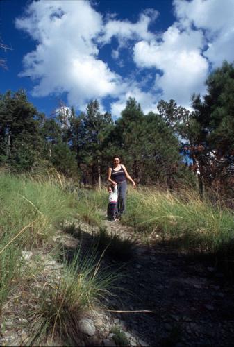 Trails on the eastern slopes of the Santa Catalina Mountains