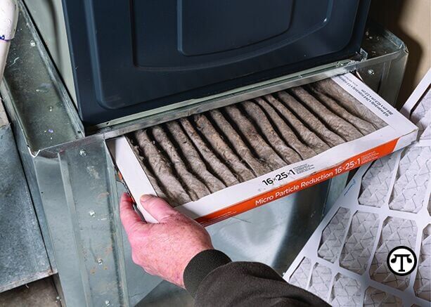 How to Breathe Better Air