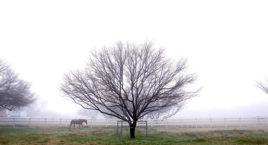 Stunning photos of Tucson fog