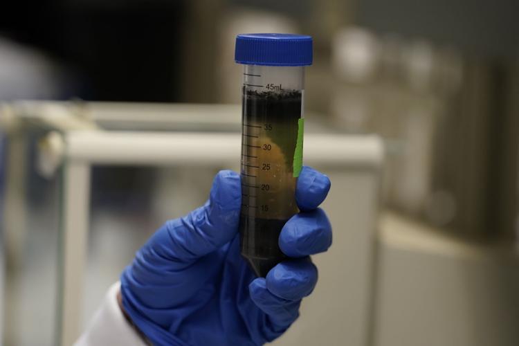 Climate Soil and Carbon