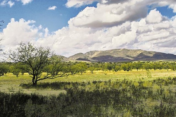 County ready to buy part of Sopori Ranch