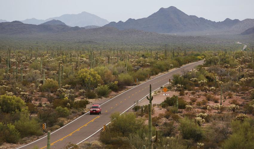 Organ Pipe National Monument