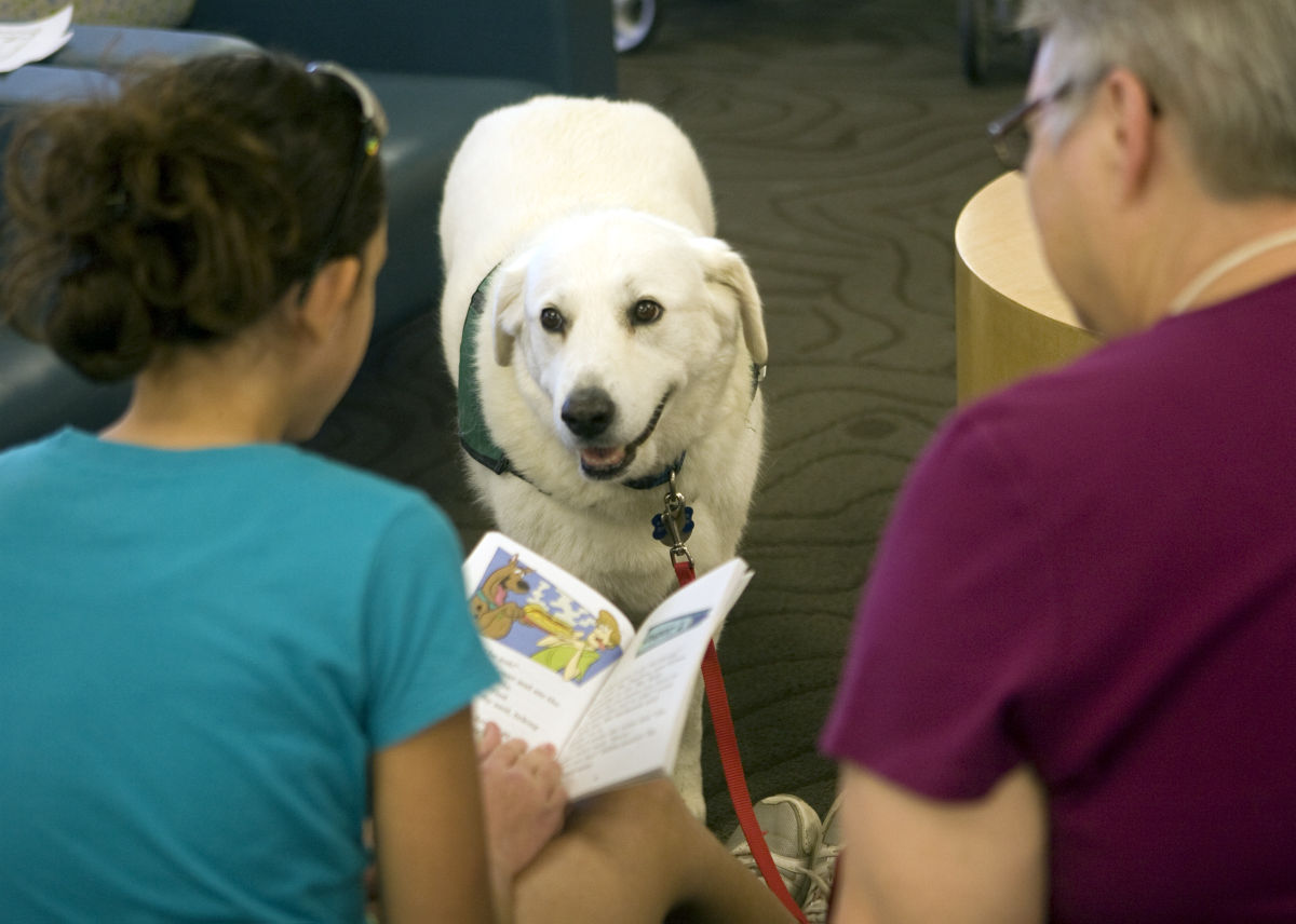 100 days of summer July 9-15 read to dogs