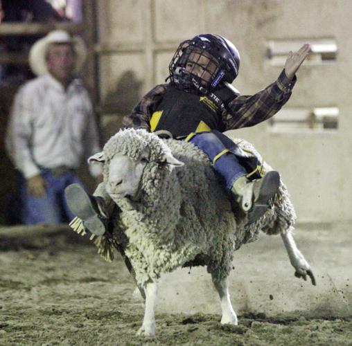 Mutton busting