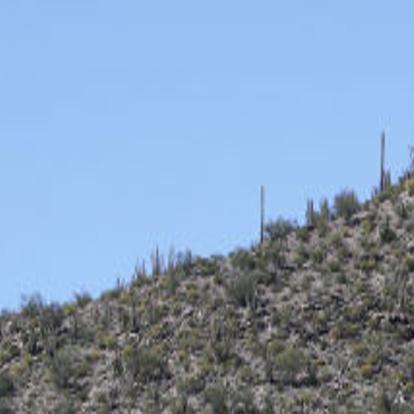 Organ Pipe Fully Open Again Tucson Com