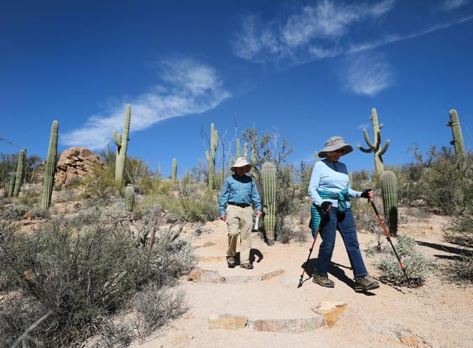 Saguaro National Park West
