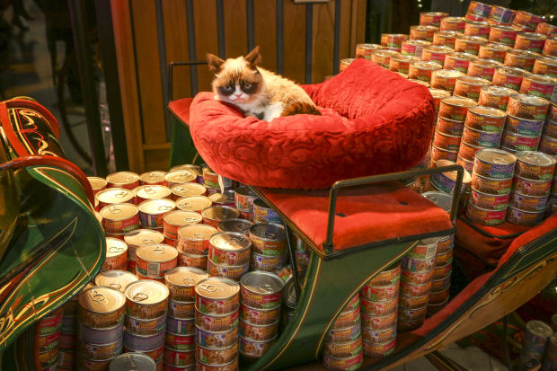 Animal shots of the week