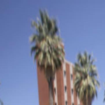 University Of Arizona Will Offer Bachelor S Degrees Online Education Tucson Com