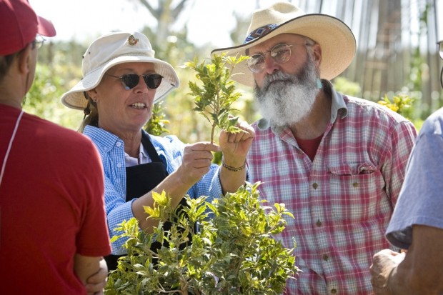 Free class gives basics of bonsai    