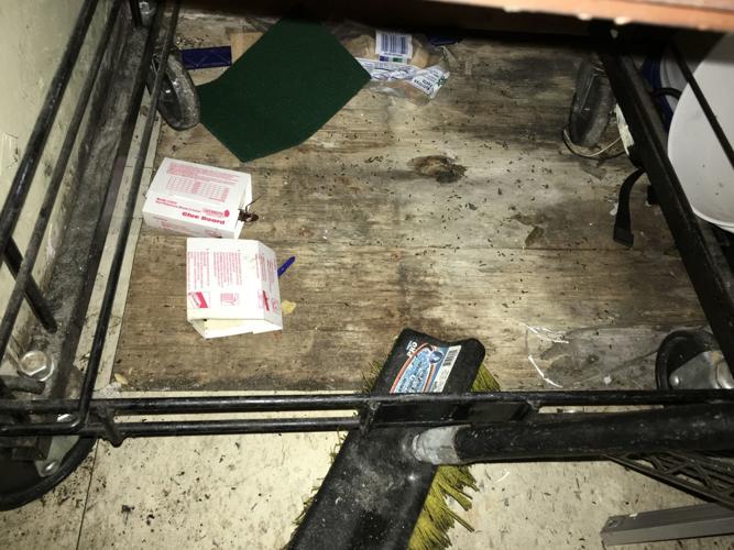 Mutts Premium Hot Dogs & Sausages