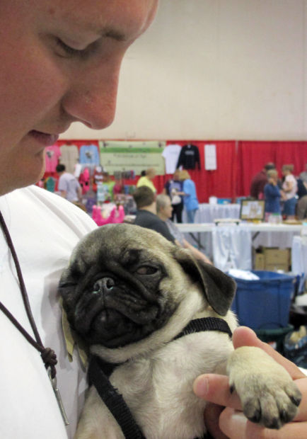Animal shots of the week
