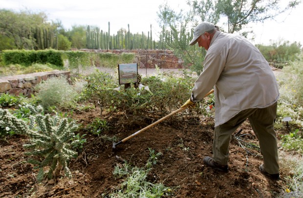 Want spring blooms? Now is time to plant seeds   