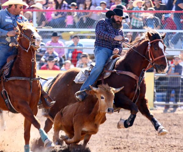 Tucson Rodeo