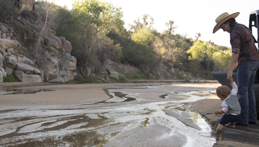 How one Wickenburg cattle ranch puts sustainability at its core