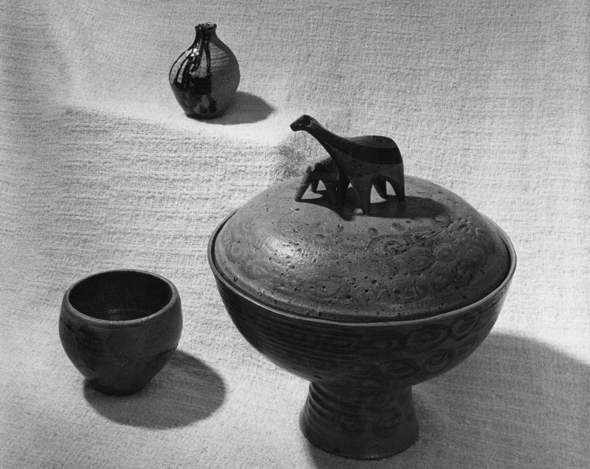 Outstanding work of Arizona craftsmen 1964