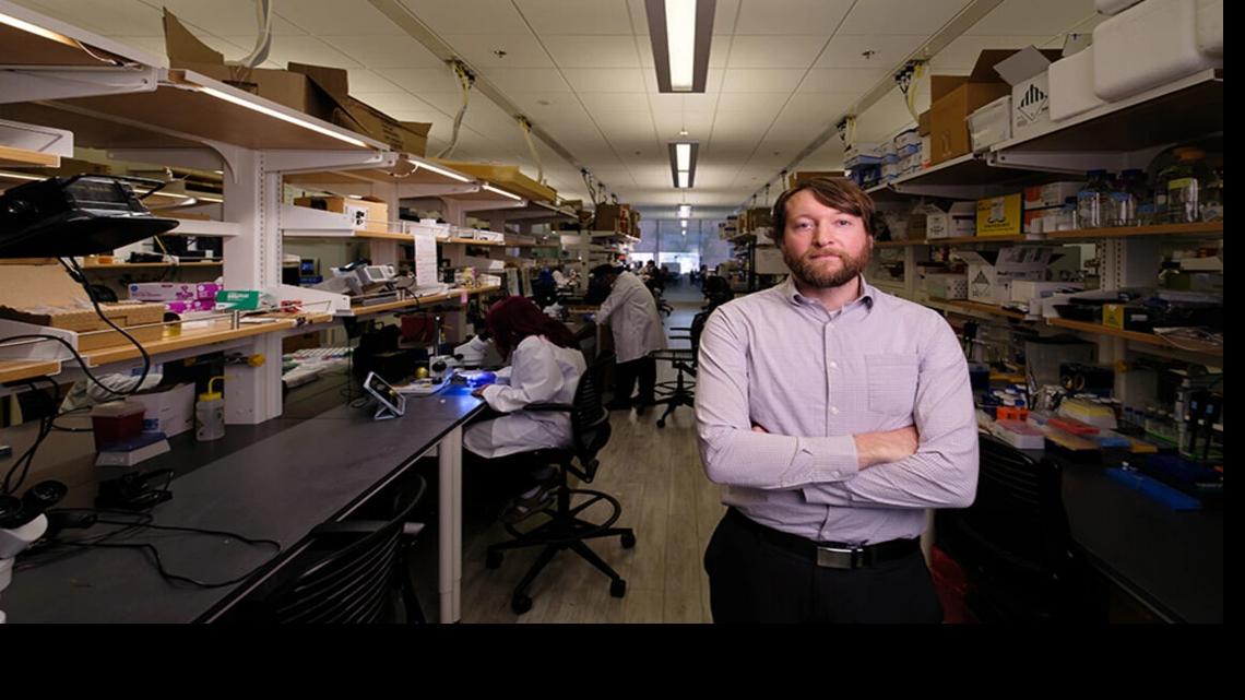 U of A researchers use AI to detect warning signs in elderly patients