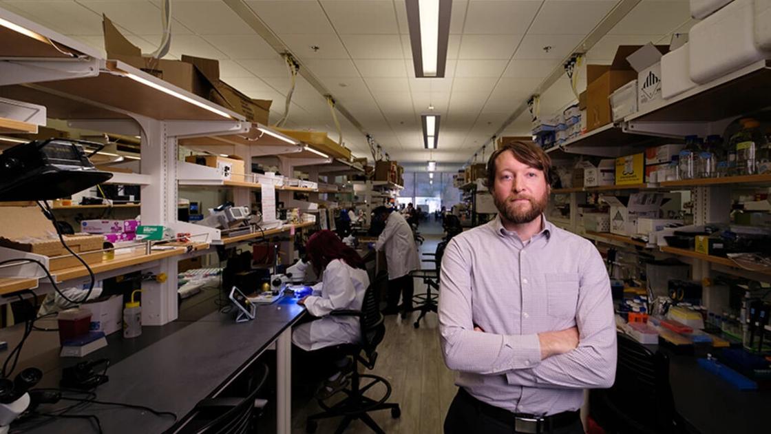 U of A researchers use AI to detect warning signs in elderly patients U of A researchers use AI to detect warning signs in elderly patients