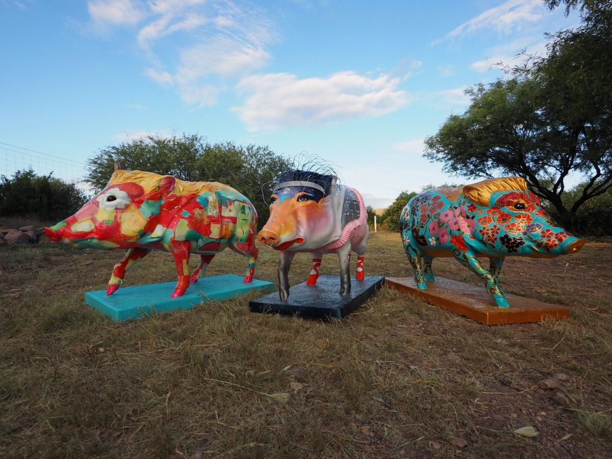 Javelinas de Tubac (copy)
