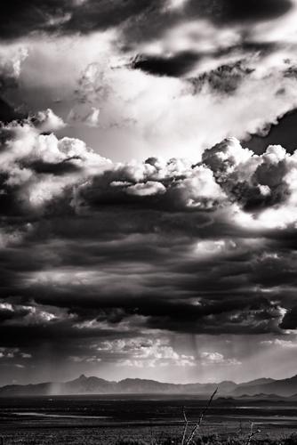 University of Arizona: The Art of Science