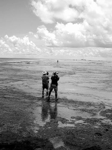 Clues to Amelia Earhart disappearance still turning up  