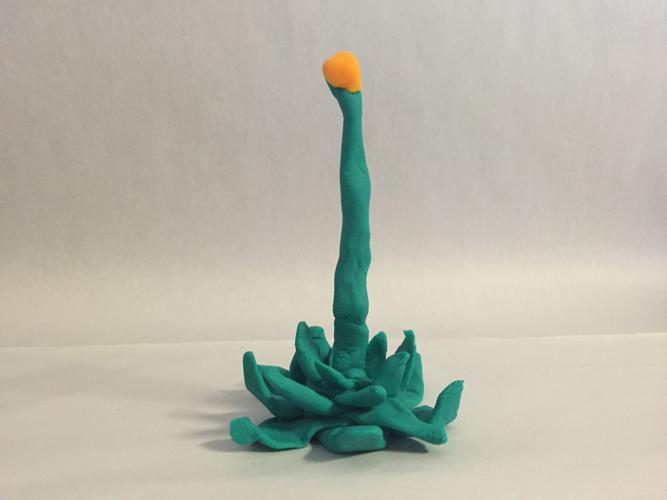 Playing with Play-Doh