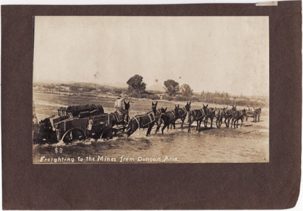 Mule teams at Twin Peaks mine