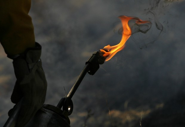 Kent Springs Burn