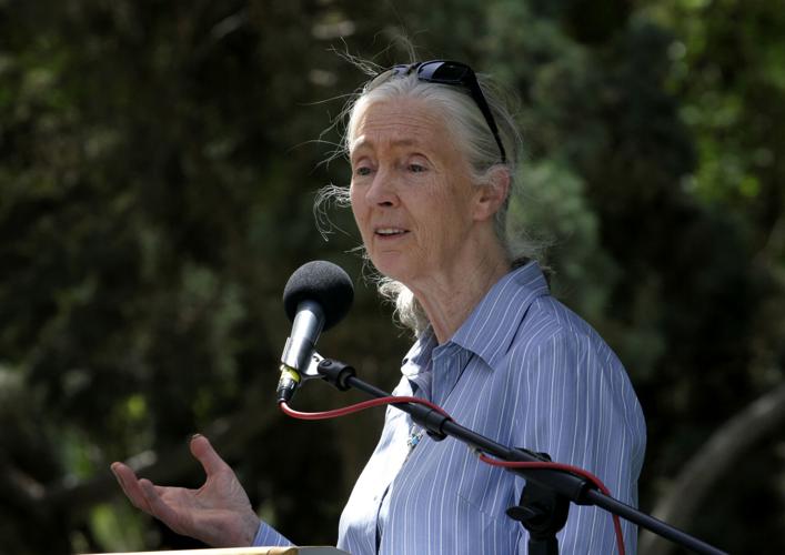 Jane Goodall in Tucson