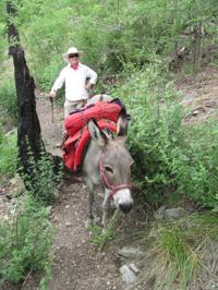 Mint Spring hike has a flavor that's all its own