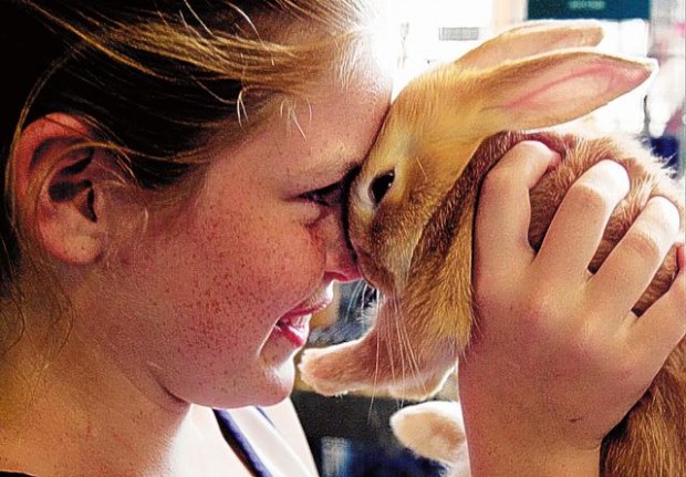 Wrong diet is what's bugging bunny  