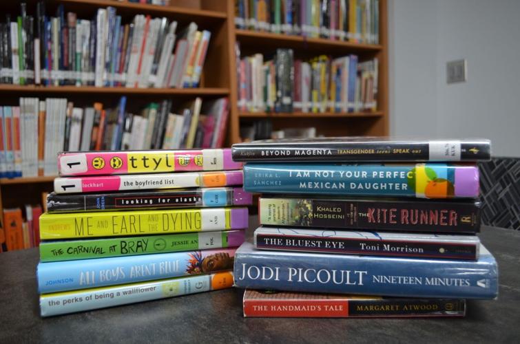 Book titles being challenged