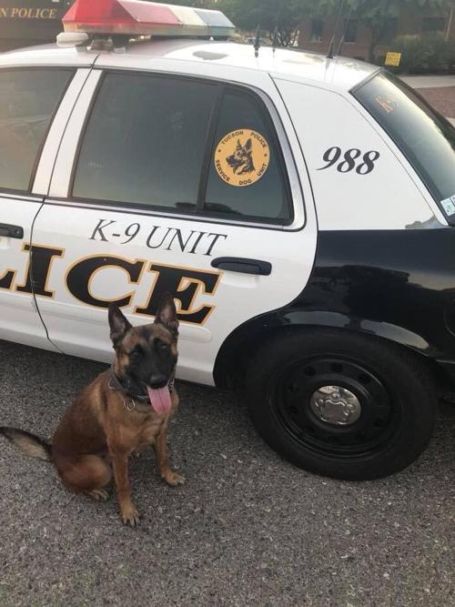 Tucson police dog