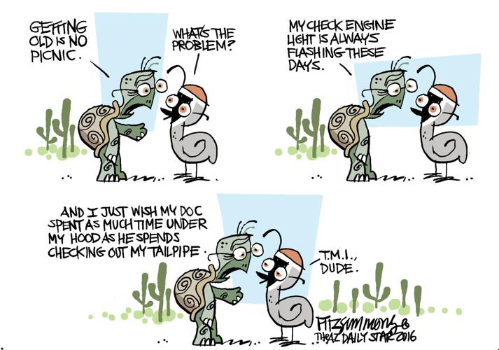 Last Laugh: Tortoise