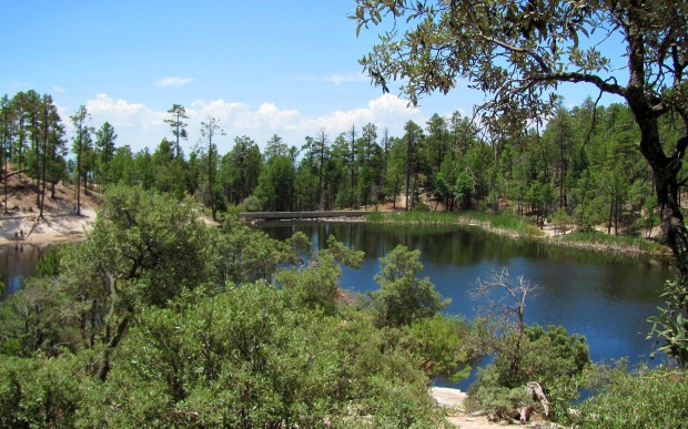 Toying with trout? Head for Rose Canyon   