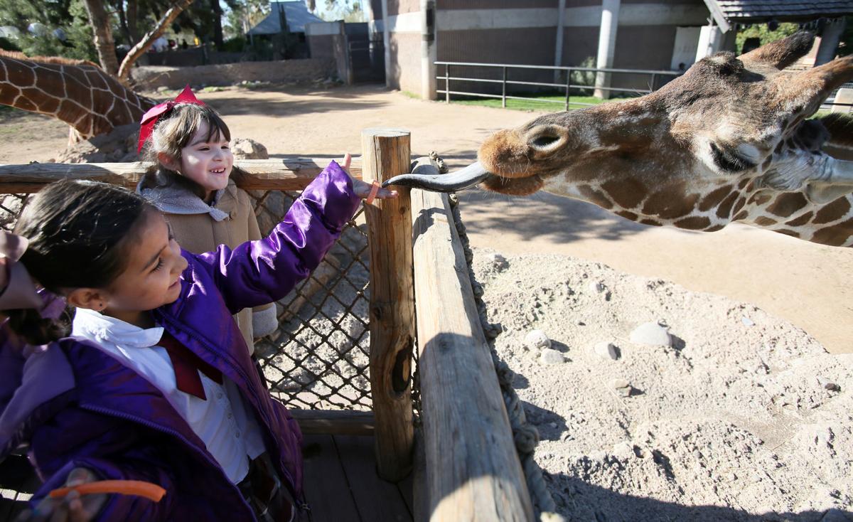 Reid Park Zoo