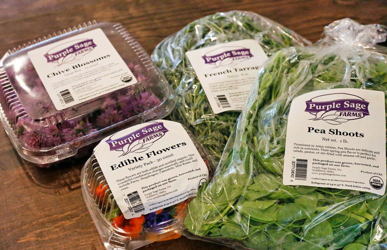 Purple Sage products