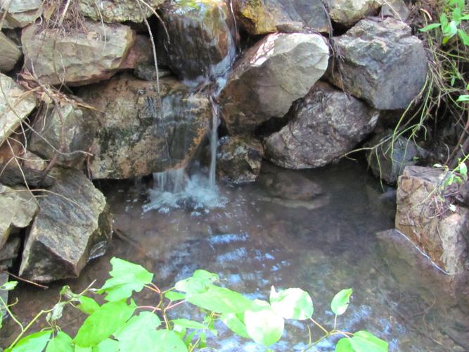 Flowing creek