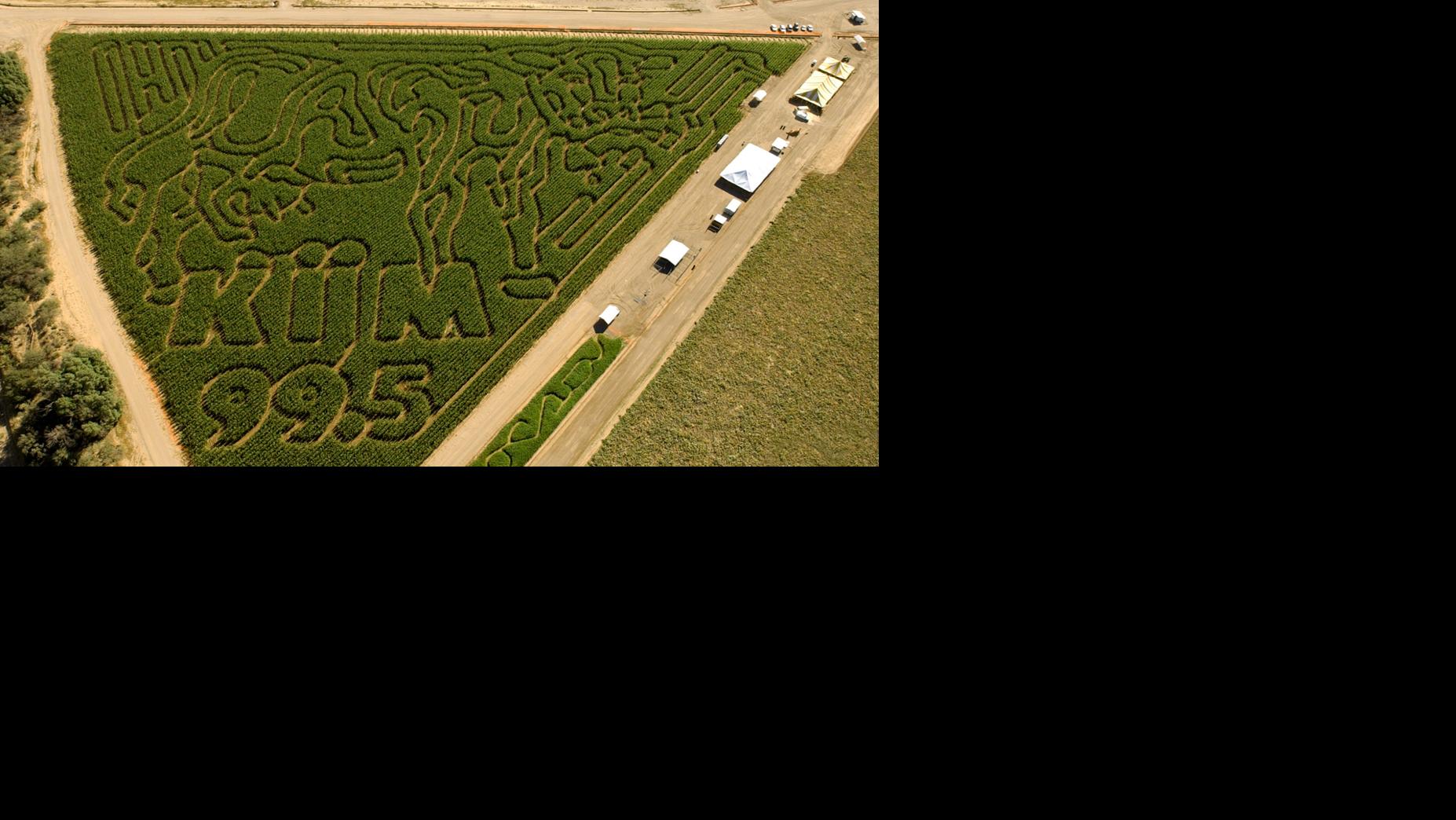 Buckelew Farm Terror in the Corn