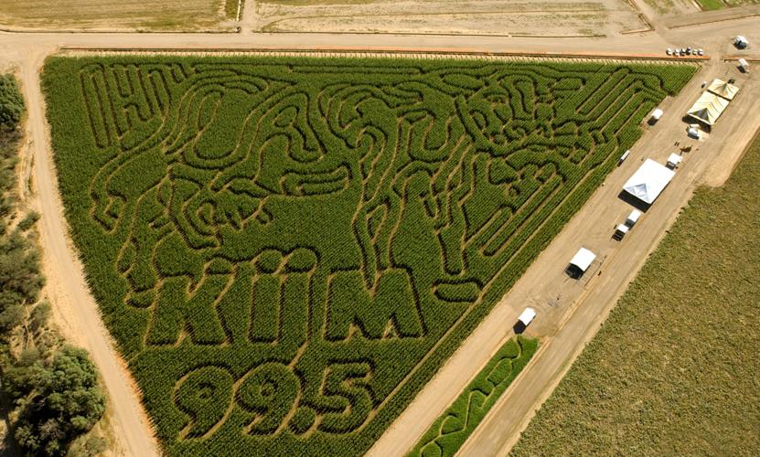 Buckelew Farm Terror in the Corn