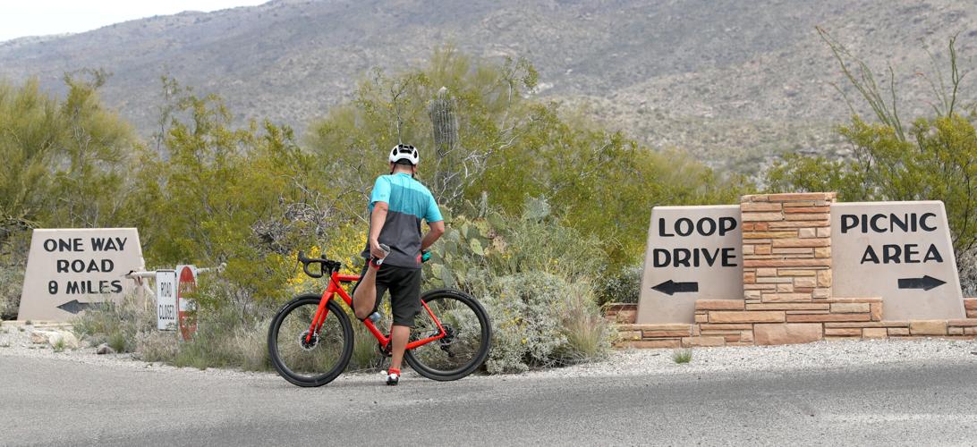 Saguaro National Park (copy)