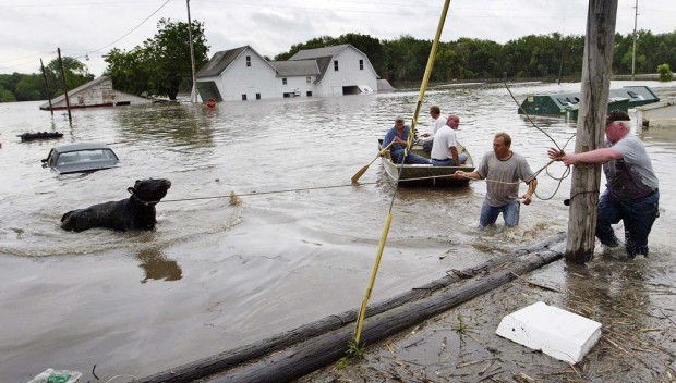 Small, backed-up tributaries now flood risk   