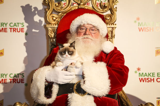 Animal shots of the week