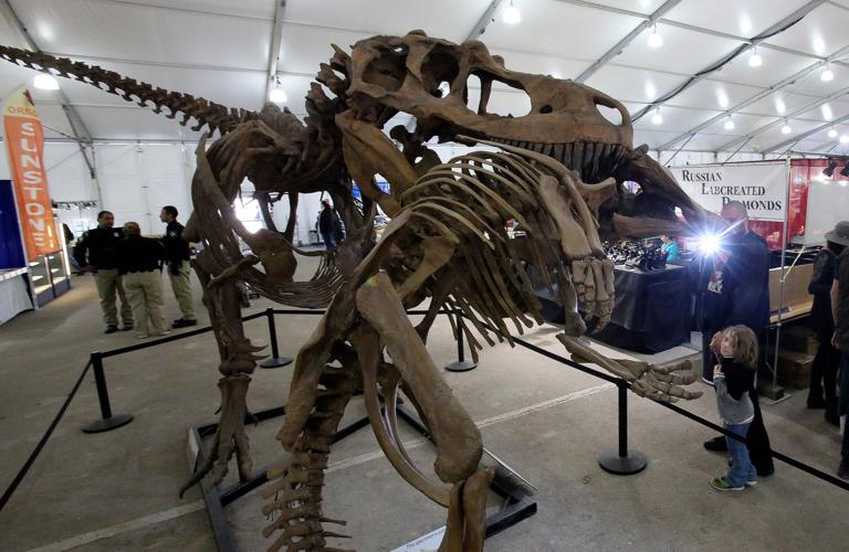 Tucson Gem, Mineral and Fossil Showcase