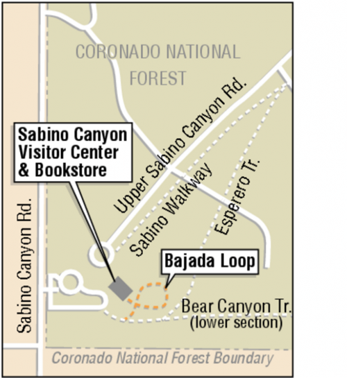 Sabino Canyon: Perfect for early or sunset hiking  