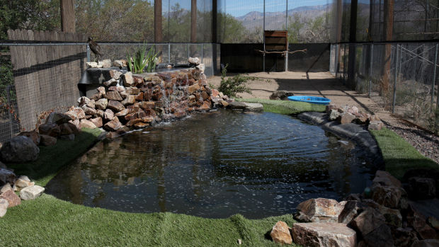 Tucson Wildlife Center